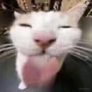 keve的个人资料头像