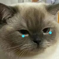 用户3481518629607头像