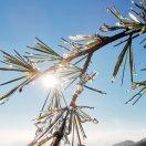 知易行难酱97614的个人资料头像