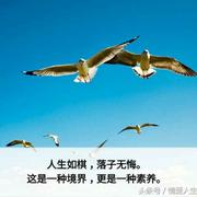 云淡风轻597的个人资料头像
