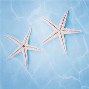 海中央的个人资料头像