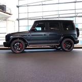 智慧的色彩斑斓的生活头像