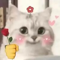 a周浩2188254278头像