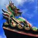 Donghai头像