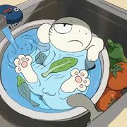 柴拾柒的个人资料头像