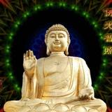 2020小和头像