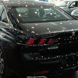 标致508L新车主头像
