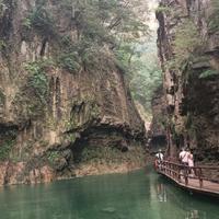 知情达理奶茶MG头像