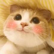 香芋布丁同学的个人资料头像