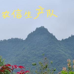 行者头像