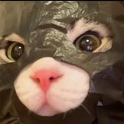 KID916的个人资料头像