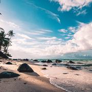 fire751的个人资料头像