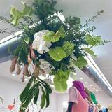 风度翩翩的花花草草头像
