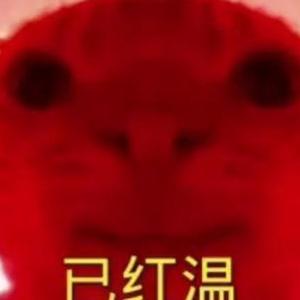 我是可爱的猫猫头像