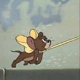 liang小猪头像