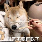 不要让战斗停下来的个人资料头像