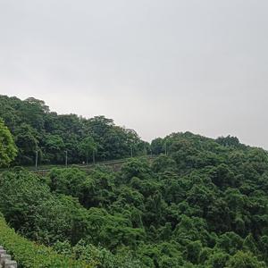 雨中漫步头像