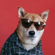 Hovey的个人资料头像