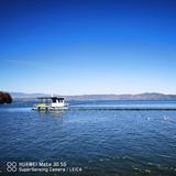 上进的春风Zpt头像