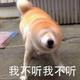 小周很酷丶头像