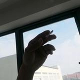 哥房车头像
