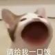 用户6186695889512头像