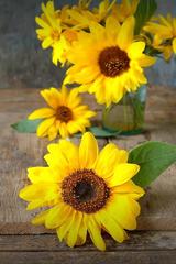 用户897138936342头像