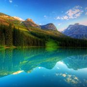 码者无疆的个人资料头像