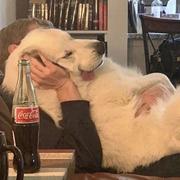 牧牧水狩的个人资料头像