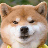 天之星成头像