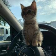 cc158的个人资料头像