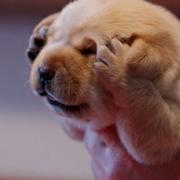 cnzf1的个人资料头像