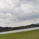 勿忘我5458328521719头像