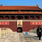 曹渭东头像