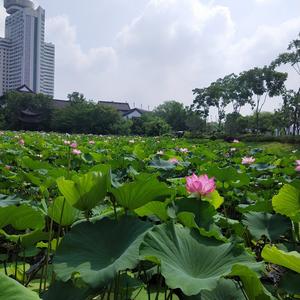 仟钰爱看生活头像