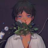 瓜北柒头像