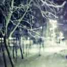 vimwu的个人资料头像