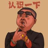 张开凤与王里插头像