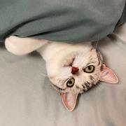 Angel940的个人资料头像