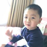 可爱的团团头像