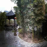 飘逸140381492头像