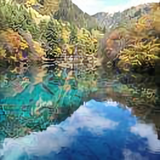 wz木木头像