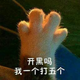 用户9432366161721 · 福克斯车主·车龄13年头像