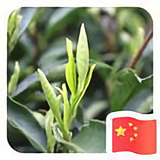 兴源茶叶头像