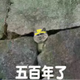 代号力量头像