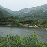 悟空43768454头像