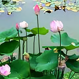 用户53084665371头像