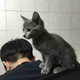 Jerry_sxS头像