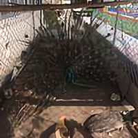 木子李67058头像