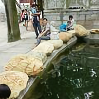 狼行天下精致家装头像